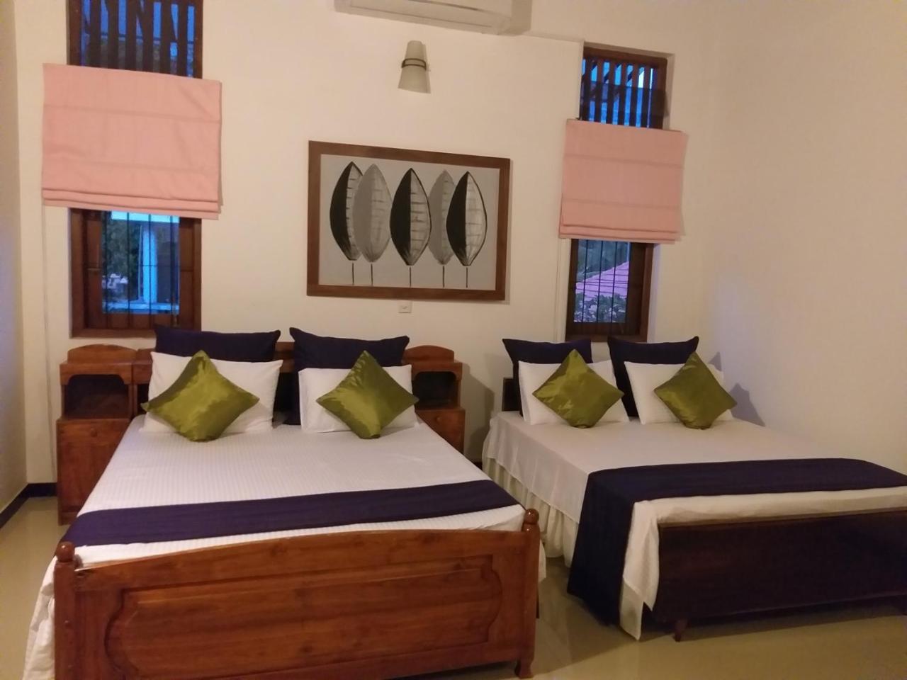 Cosy Nest Home Stay Negombo Exteriör bild