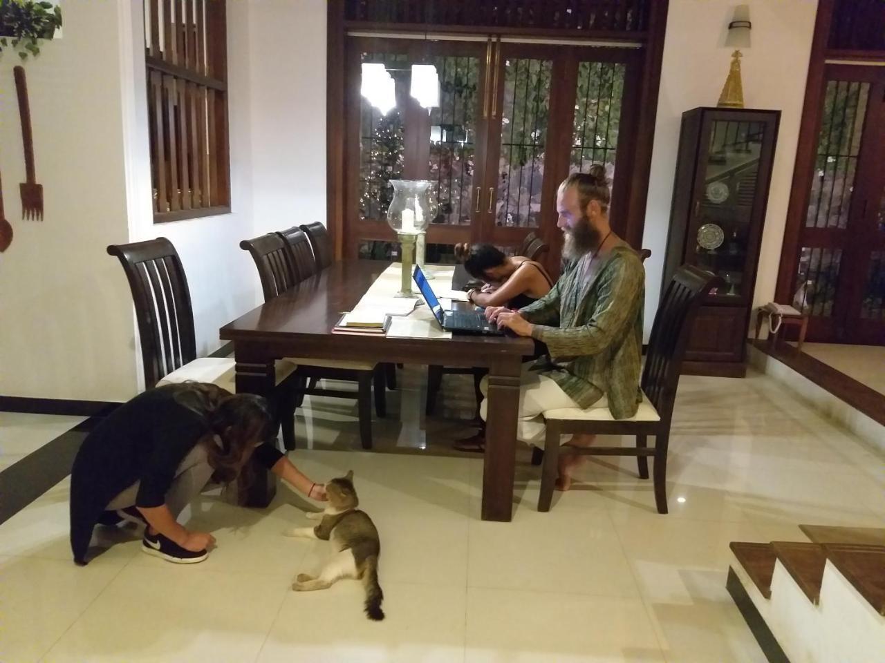 Cosy Nest Home Stay Negombo Rum bild